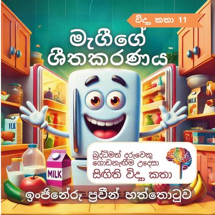 මැගීගේ ශීතකරණය